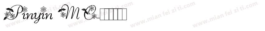 Pinyin MC字体转换